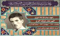 شهید سیدرضا شاه میری
